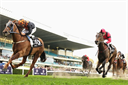 Horse Racing System r/r - Digital Download