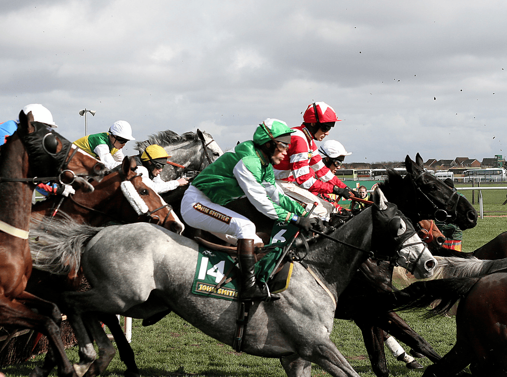 Horse racing system and staking plan l/d/b - Digital Download