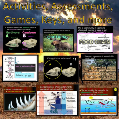 Ecology: Feeding Levels Unit - Additional View 3