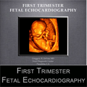 first trimester fetal echocardiography