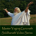 yoga is total fusion with god