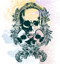 vector skulls illustration
