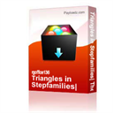 triangles in stepfamilies: the therapists' management of self