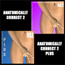 anatomically correct 2 bundle