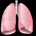 Respiratory 2011 - Digital Download