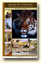 on my easel v 2 affiliate - Digital Download