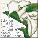 Solomon / Lilies - Matthew 6:29 Chart - Digital Download