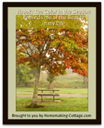 The Color of the Season Reminds me of the Beauty in my Life - Digital Download